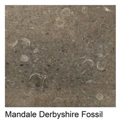 Mandale Derbyshire Fossil