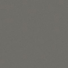 Gris Expo