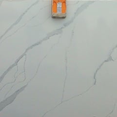 Michelangelo (FS/11)